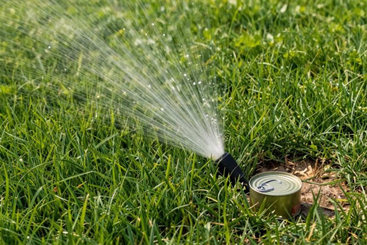 How Much Water Does a Lawn Need Per Week? [2026 Guide]